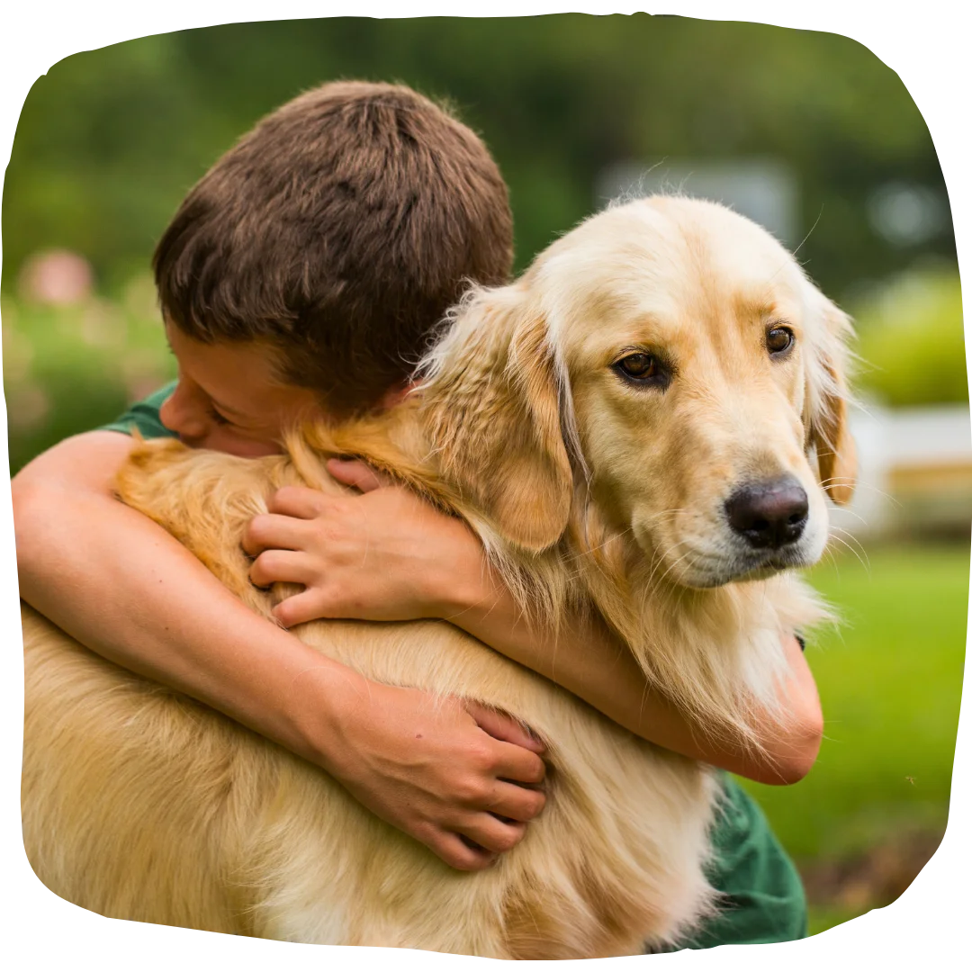 Young boy hugging a golden retriever outdoors with a loving embrace.