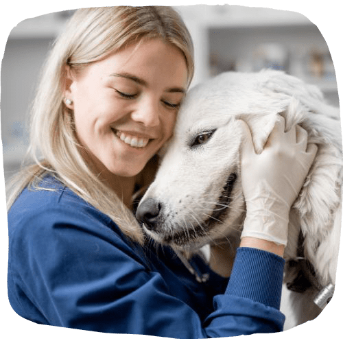 Dog getting cared by the lady vet