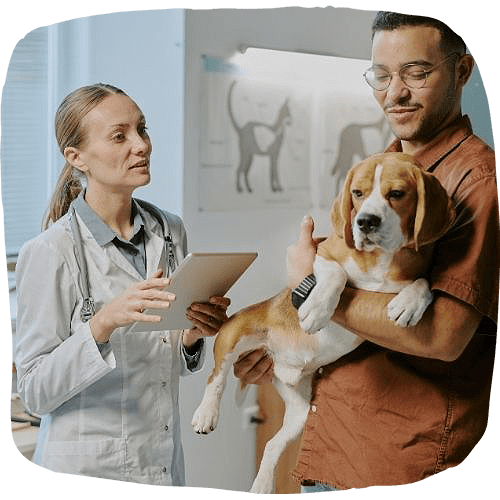 Dog getting initial diagnostics by the vet